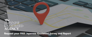 Free Japanese Knotweed Survey – discover the facts about your knotweed